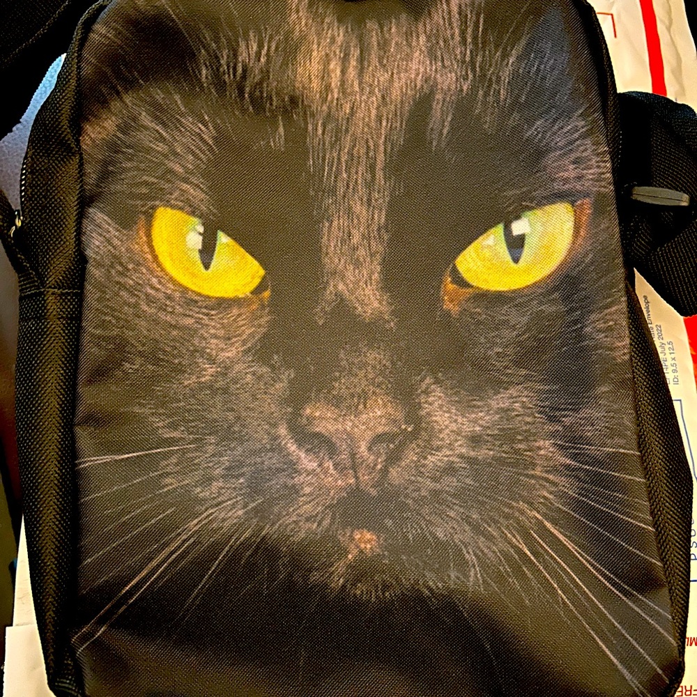 Black Cat Print Cross Body Bag by Cider